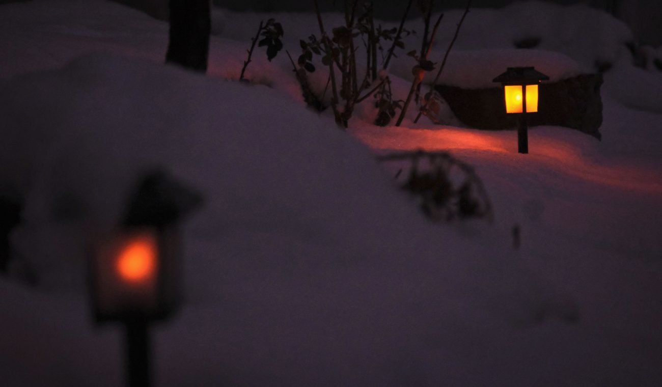 Designing a Warm and Inviting Entryway with Subtle Walkway Illumination
